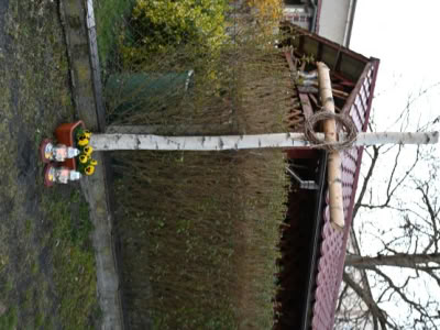 Dsc 2548
