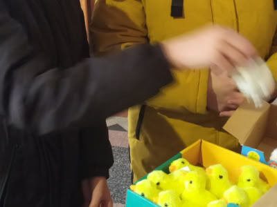 277958392 1824960751036931 5338966223847463965 N