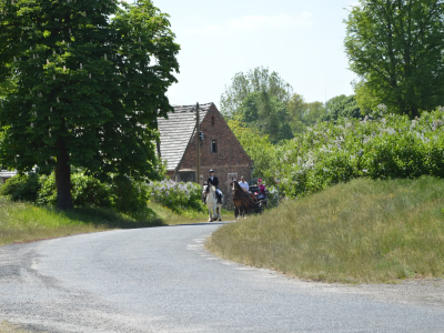 Dsc 0288