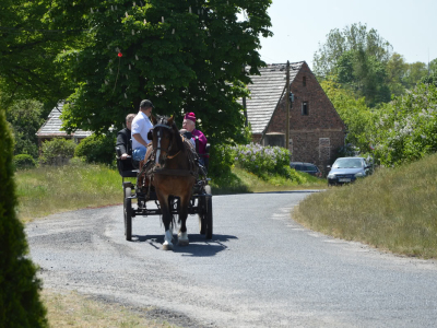 Dsc 0290