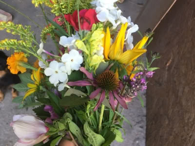 Resized Img 0772