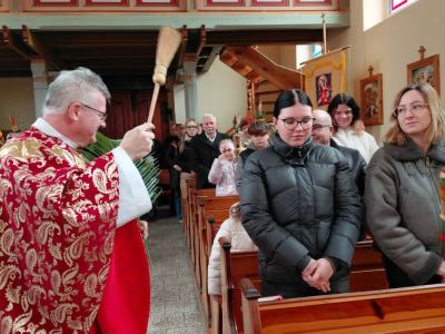 Messenger_creation_A970D53A-6DCF-412A-9019-19D04152B2D1