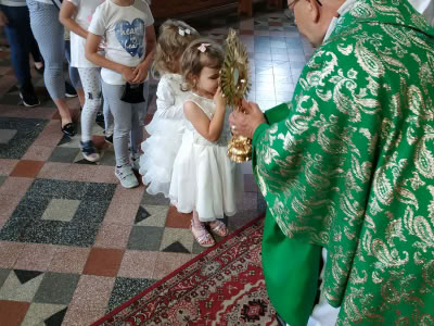 Img 20200618 184659