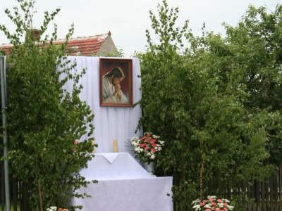Img 0261 1