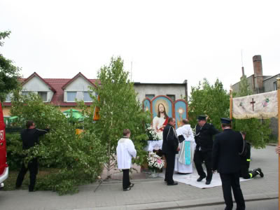 Img 0294 1