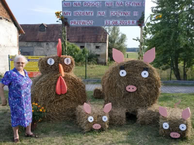 Img 20190825 171649