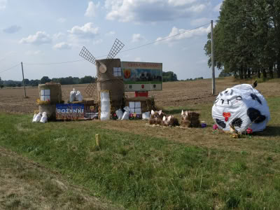 Img 20190826 143937