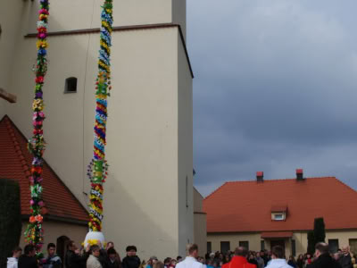 Dsc 0309 1