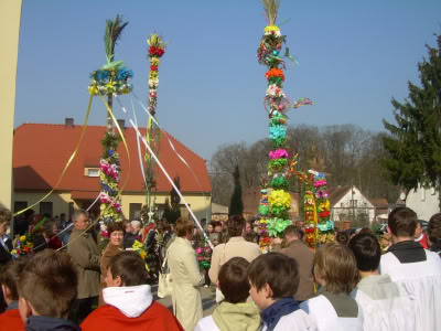 Obraz005