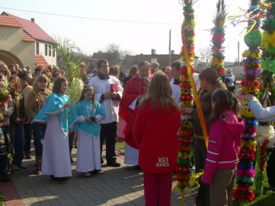 Obraz013