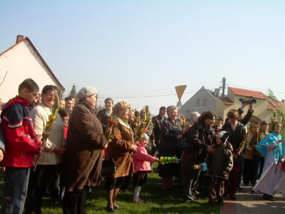 Obraz015