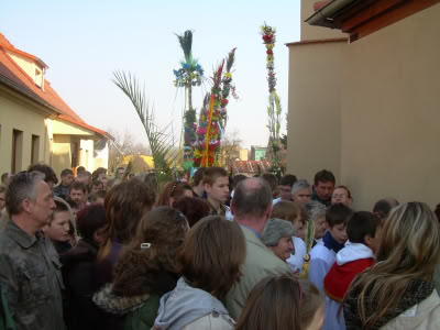 Obraz020