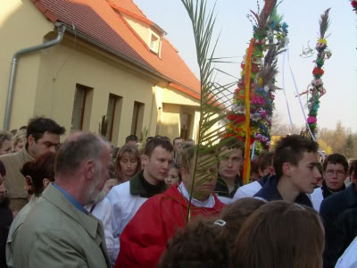 Obraz021