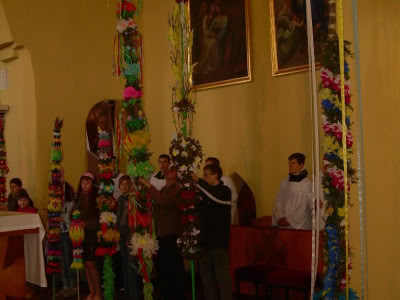 Obraz024
