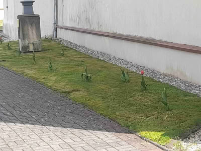 20210508 145959
