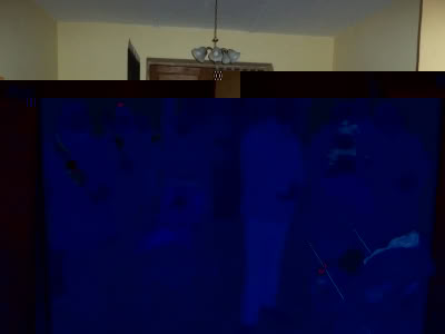 12719476 585840684902257 8592167892829023069 O