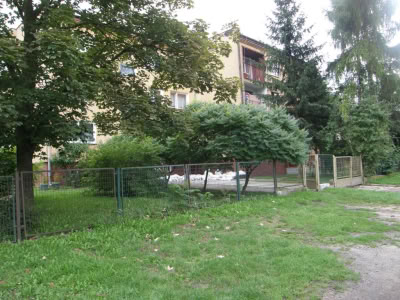 36