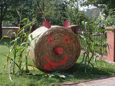 Image019