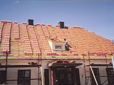 Skanuj016