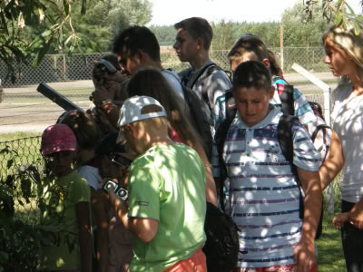 OLYMPUS DIGITAL CAMERA