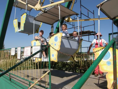 OLYMPUS DIGITAL CAMERA