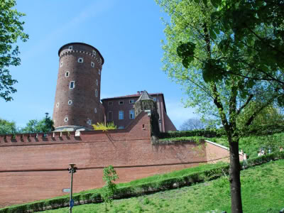 Dsc 1136