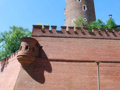Dsc 1137