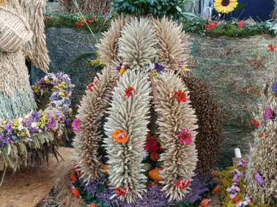 Image006