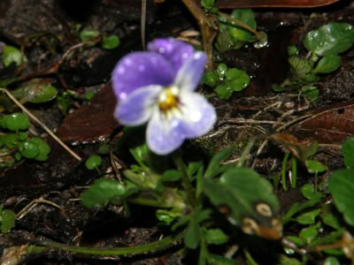 17239719 764624060357251 8198831389113371563 O