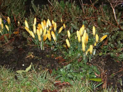 17309959 764624030357254 4312555723736020200 O