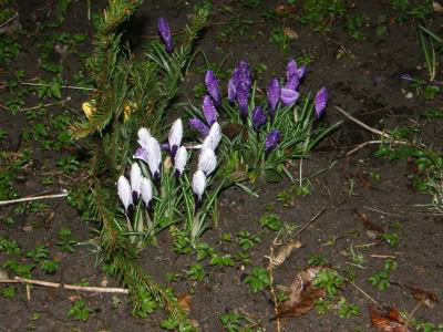 17311112 764623757023948 3418348763421096698 O