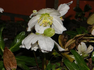 17349610 764624210357236 6393722919465166936 O