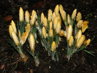 17390377 764623997023924 8188998092306274466 O