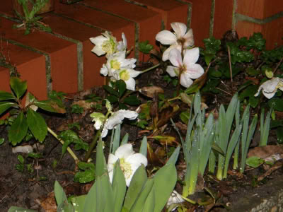 17390437 764624267023897 320091355545485955 O