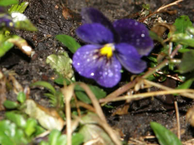 17390525 764624097023914 8279712026106178374 O