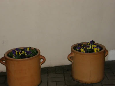 17434508 764624147023909 2888530812436989202 O