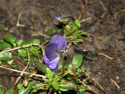 17434568 764624043690586 2655947372206297215 O