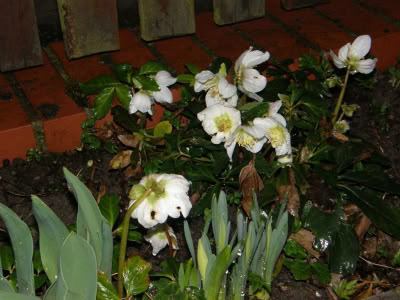 17434648 764624243690566 8453688859428497262 O