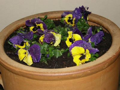 17434657 764624230357234 5982779591049652534 O