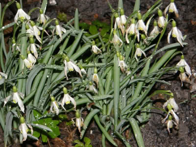 17434689 764623810357276 6075849062881420694 O