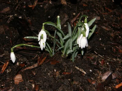 17434869 764624180357239 3081927499109698579 O