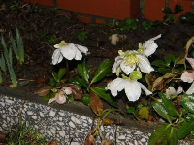 17434881 764624190357238 2526031341064974768 O