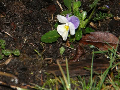 17436006 764624100357247 1593587223002478221 O