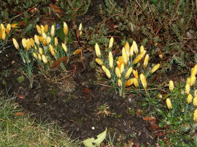 17436042 764623913690599 7463538776926977696 O