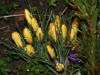 17436073 764623740357283 3902999292863333934 O