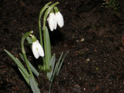 17436216 764623957023928 7888825793802989550 O