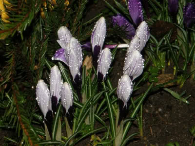 17492560 764623743690616 5388925209287172733 O