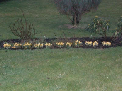 17492571 764623903690600 2280238013333739981 O