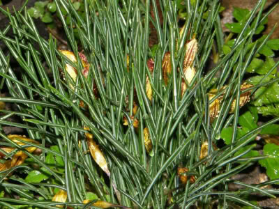 17492683 764623830357274 1635558234997573824 O