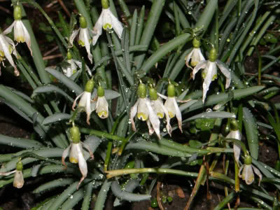 17492888 764623800357277 6137716763323844254 O